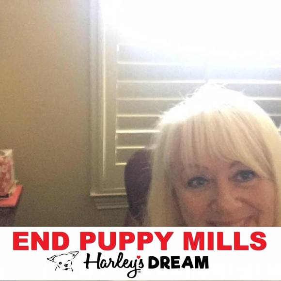 Meet your Posher, Dee - Picture 1 of 1